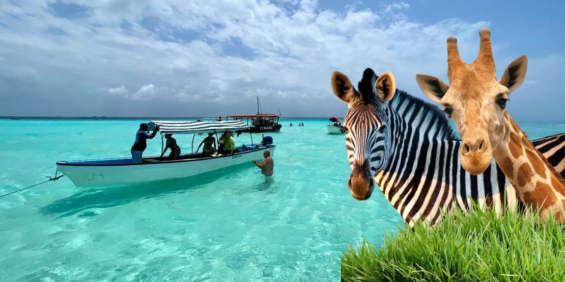 Tanzanija i Zanzibar Nova godina iz Zagreba